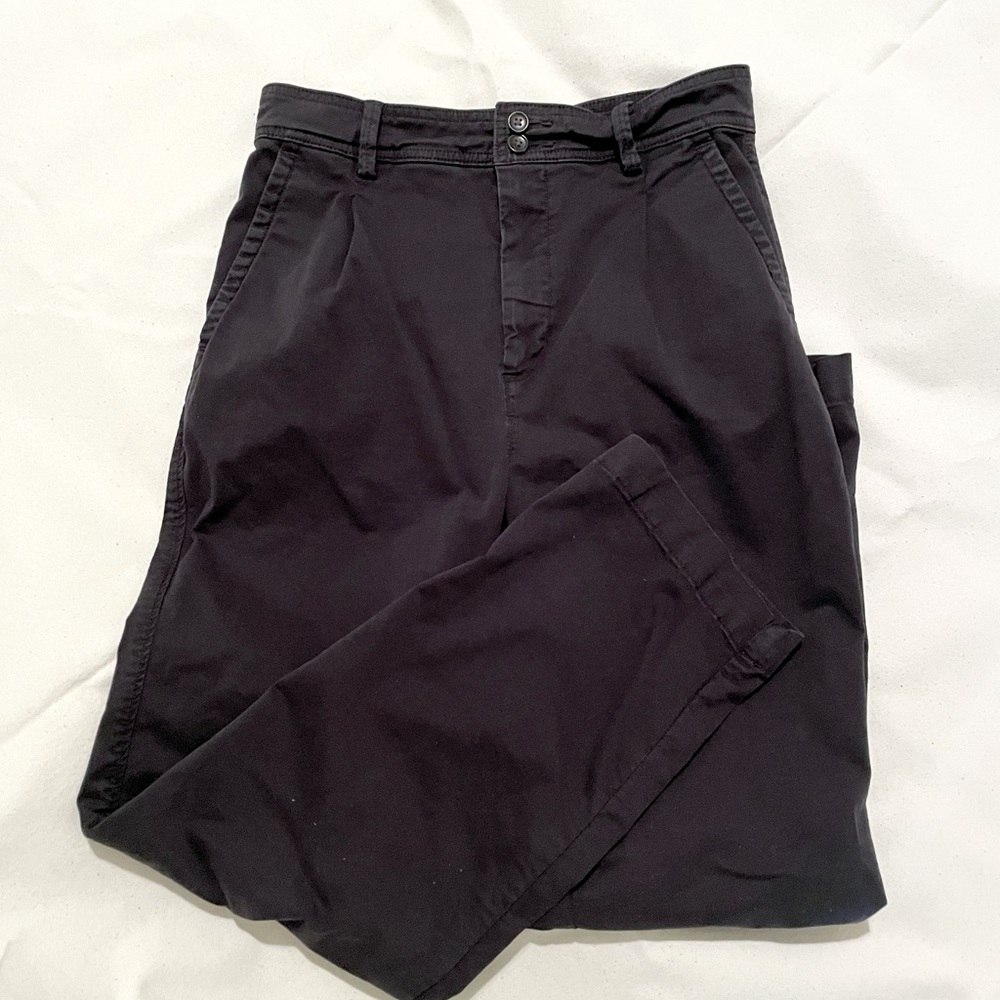 Everlane Pleated Chino